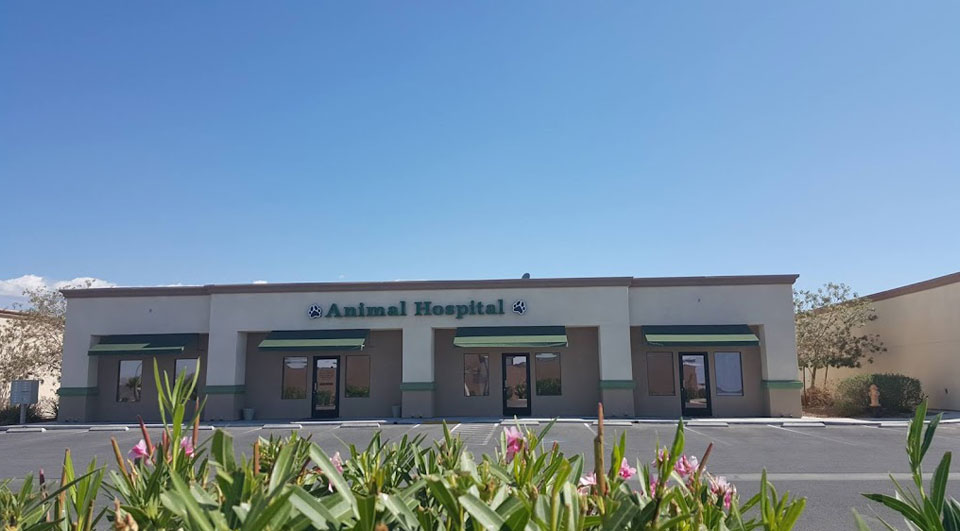 Veterinarian in Pahrump, NV Veterinarian in Pahrump, NV